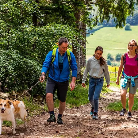 Apartment Gaestehaus Seewald- 4 