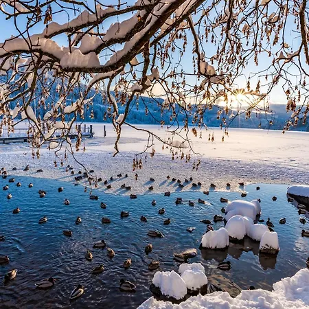 Apartment Gaestehaus Seewald- 4 