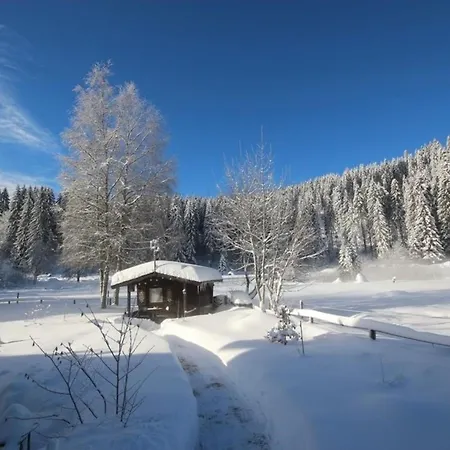 Apartment Gaestehaus Seewald- 4 